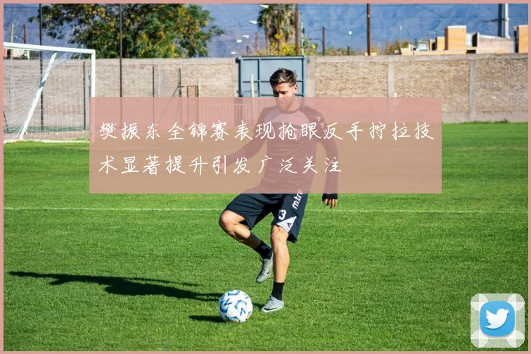 樊振东全锦赛表现抢眼反手拧拉技术显著提升引发广泛关注