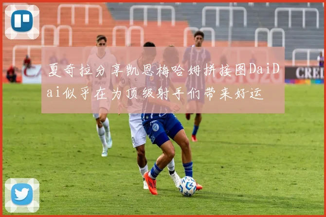 夏奇拉分享凯恩梅哈姆拼接图DaiDai似乎在为顶级射手们带来好运