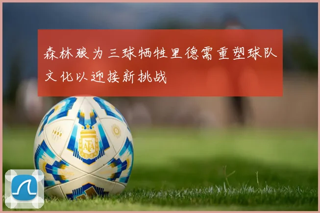 森林狼为三球牺牲里德需重塑球队文化以迎接新挑战